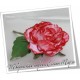 Интерьерный цветок Розы